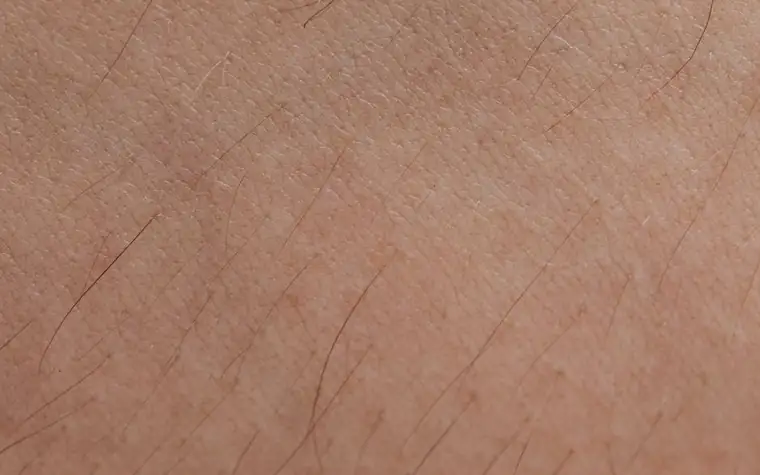 Close-up of natural skin texture on a forearm