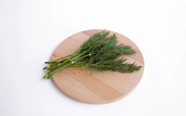 Fresh green herb sprigs arranged on a wooden board
