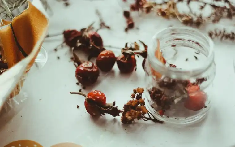 Dried botanical herbs and rosehips arranged beside a glass jar