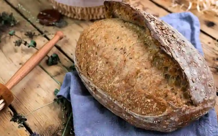 Freshly baked sourdough bread with a fermented crust