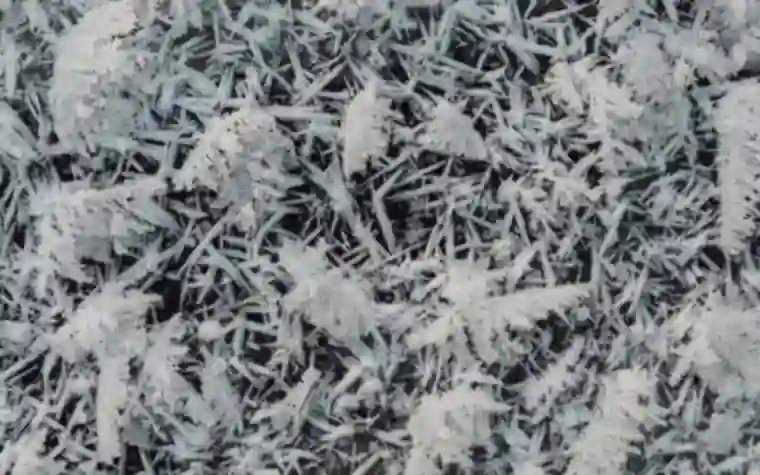 Detailed frost crystal patterns forming on a cold glass surface