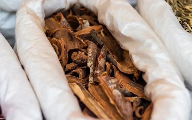 Close-up of dried bark and root pieces in a white sack at a herb market