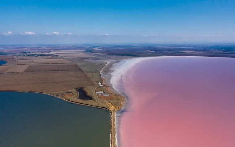 Aerial view of a pink salt lake beside farmland