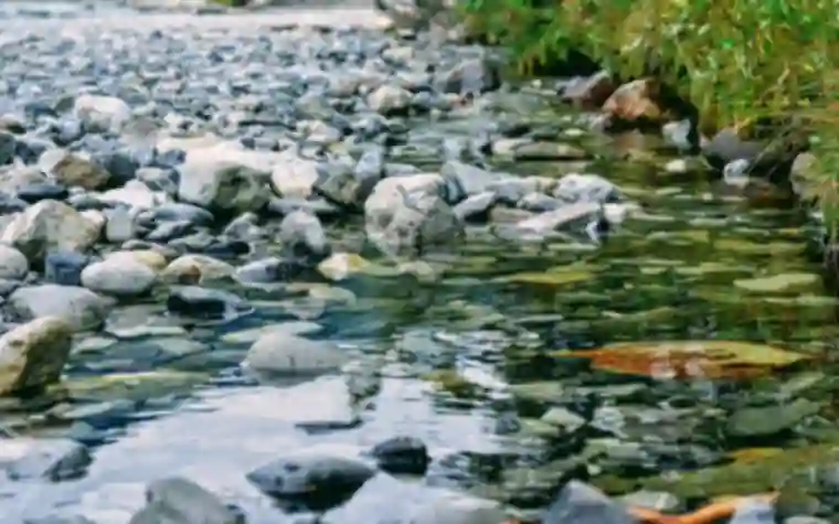 Clear stream water running over smooth pebbles