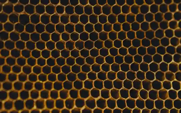 Close-up of an empty honeycomb with hexagonal cells edged in amber wax