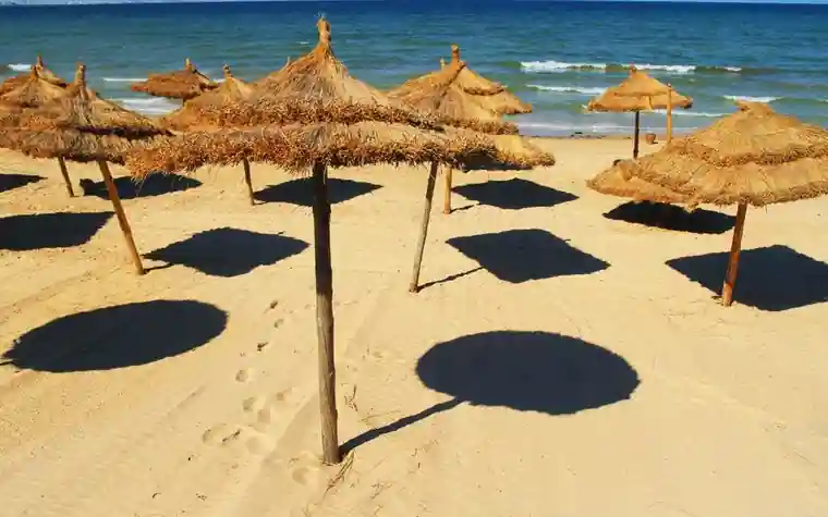 Rows of straw beach umbrellas casting dark round shadows on bright sand beside the sea