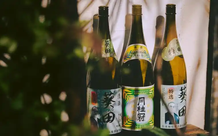 A row of traditional Japanese sake bottles with printed labels