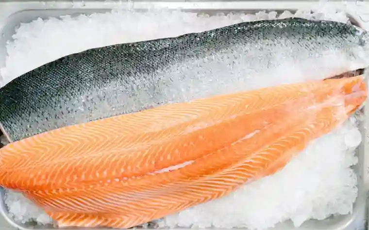 A whole raw salmon fillet resting on ice, close-up