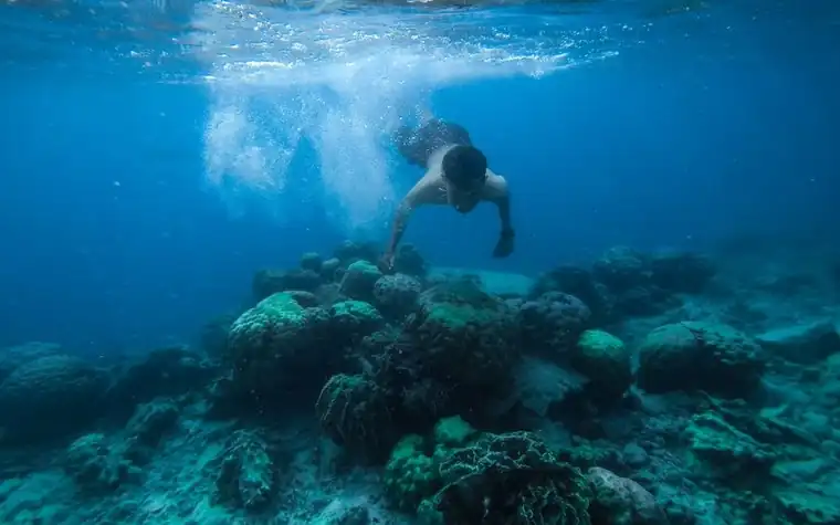 Diver floating above a coral reef in clear blue water with sunlight filtering down from the surface